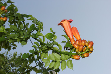 Similar image 1400431