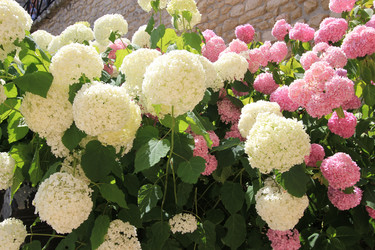 Similar image 1400435