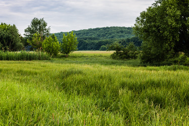 Similar image 1400465