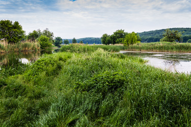 Similar image 1400466