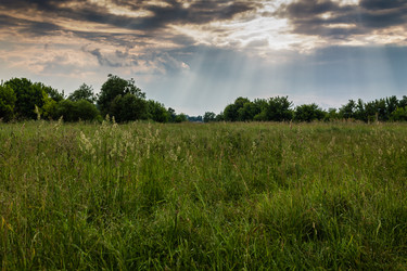 Similar image 1400467