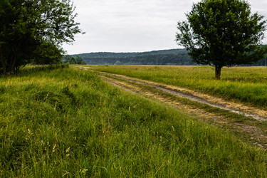 Similar image 1400468