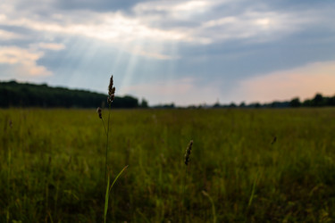 Similar image 1400470