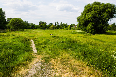 Similar image 1400475