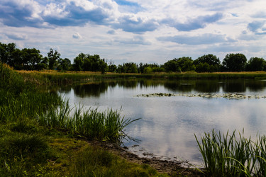 Similar image 1400476