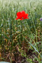 Similar image 1400477