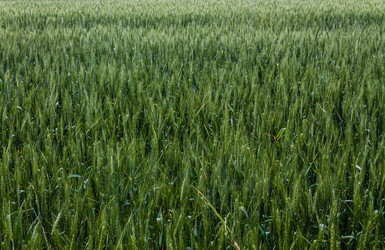 Similar image 1400478