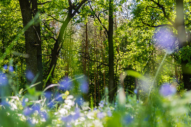 Similar image 1400488