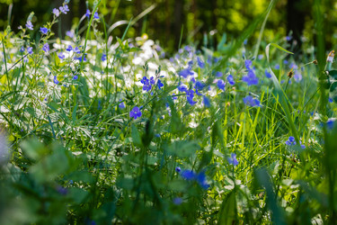 Similar image 1400489