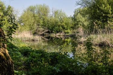 Similar image 1400497