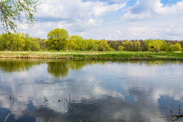 Similar image 1400498