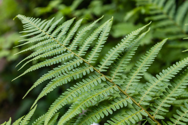 Similar image 1400500