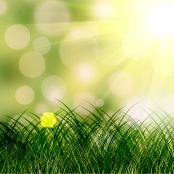 Similar image 1400505