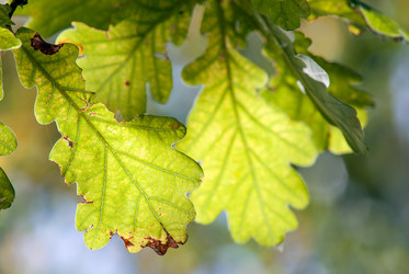 Similar image 1400509