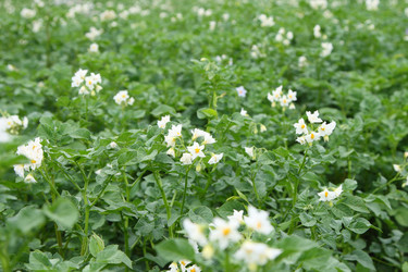 Similar image 1400531