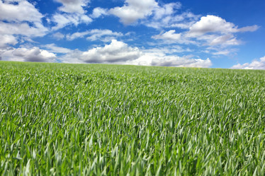 Similar image 1400532