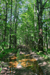 Similar image 1400534