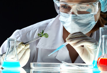 Similar image 1400650