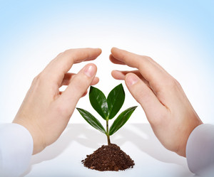 Similar image 1400665