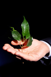 Similar image 1400668