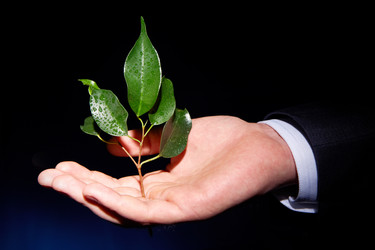 Similar image 1400669