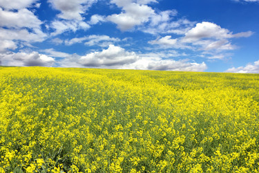 Similar image 1400684