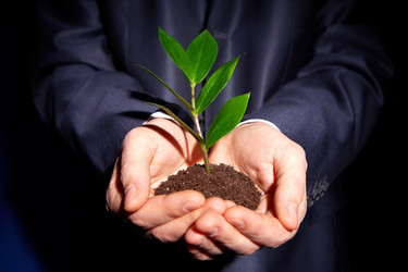 Similar image 1400693