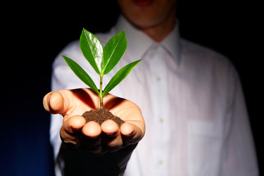 Similar image 1400694