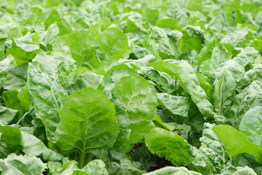 Similar image 1400697