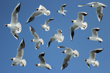 Similar image 1400716