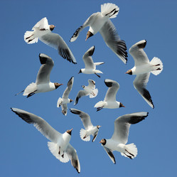 Similar image 1400717