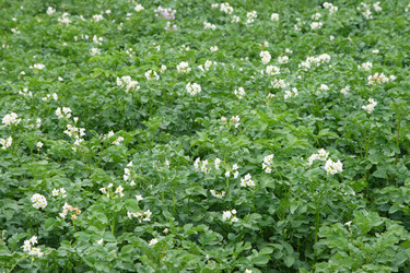 Similar image 1400719