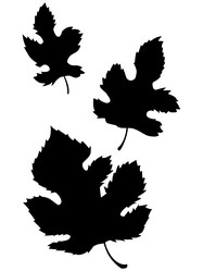 Similar image 1400800