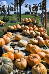 Similar image 1400807