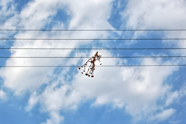 Similar image 1400811