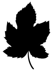 Similar image 1400832