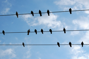 Similar image 1400835