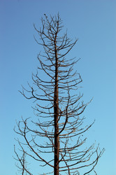 Similar image 1400879