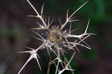 Similar image 1400902