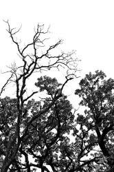 Similar image 1400939