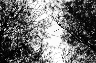 Similar image 1400998