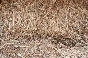 Similar image 1401009