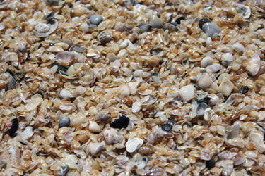 Similar image 1401038