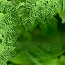 Similar image 1401042