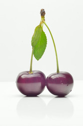 Similar image 1401054