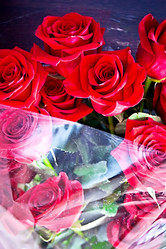 Similar image 1401077