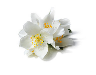 Similar image 1401120