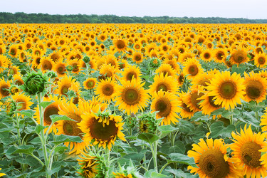 Similar image 1401147