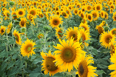 Similar image 1401148