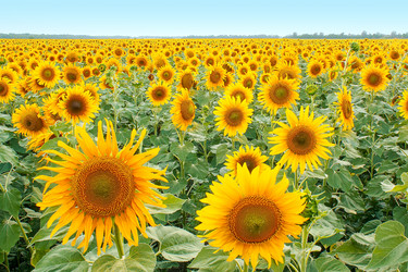 Similar image 1401152